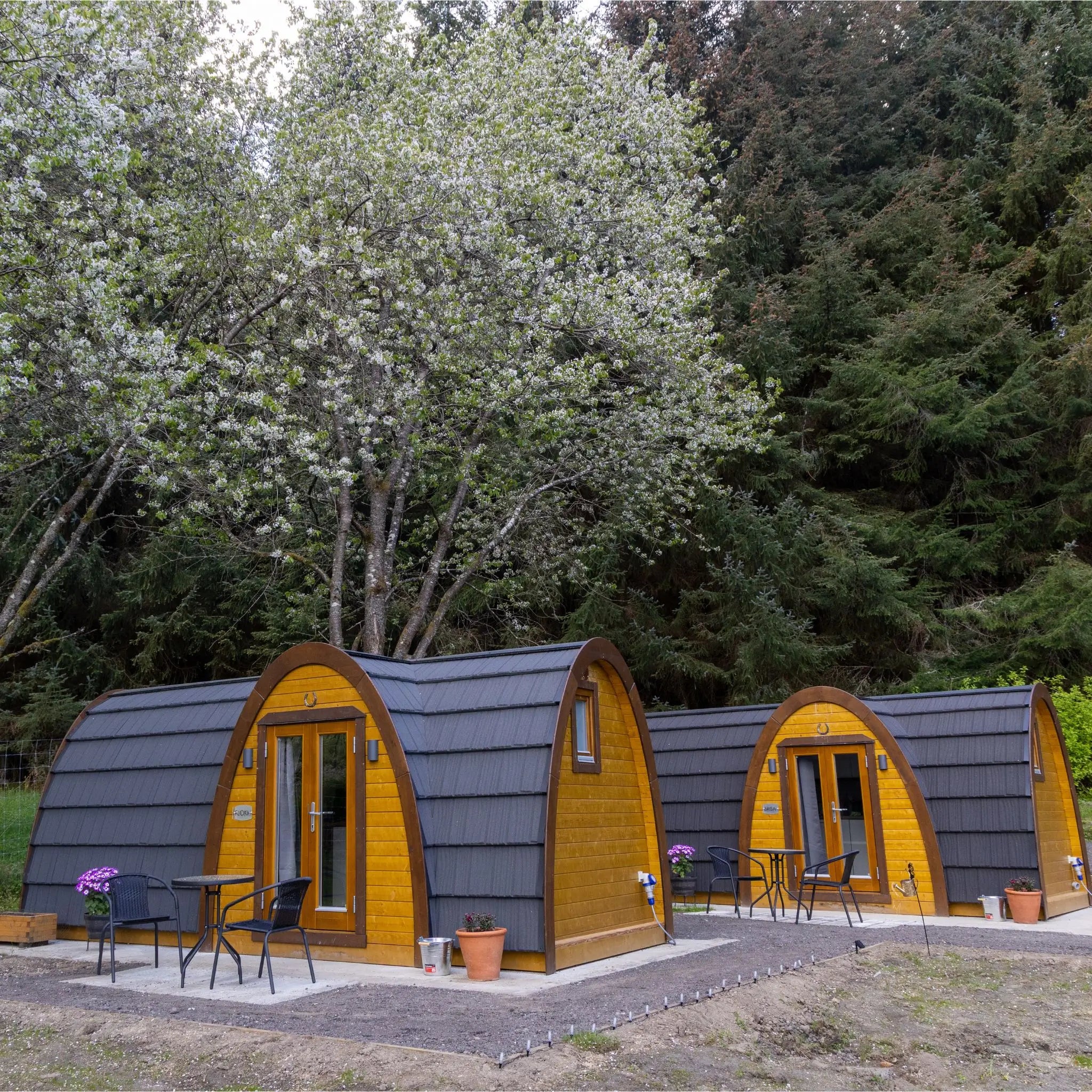 Two arched dome-style cabins with dark gray shingled roofs and warm yellow-orange wooden siding, set outdoors among flowering trees and dense green forest. Each cabin has a glass door, patio seating, and a small potted plant.