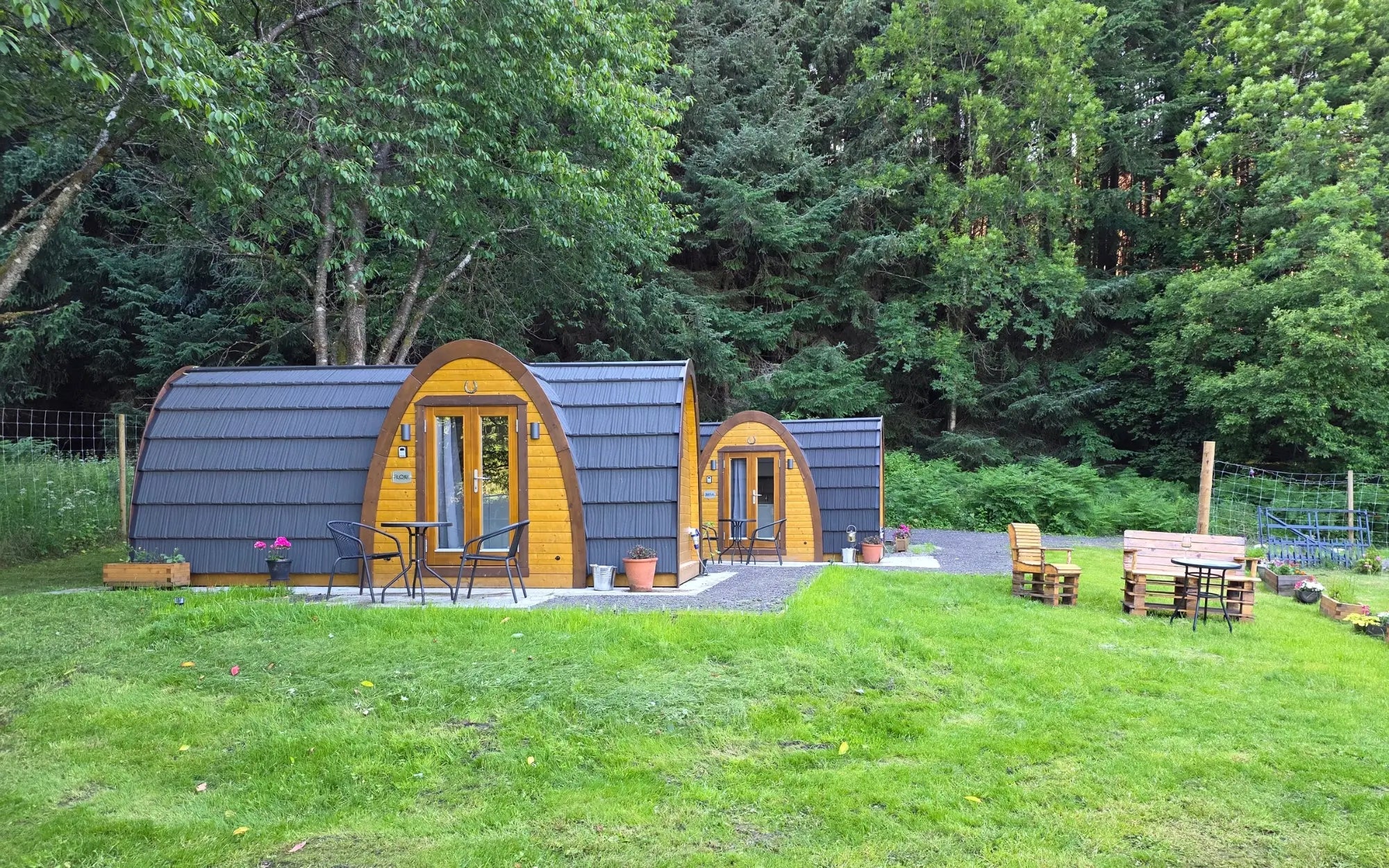 Doune House Pods Front View with Garden Grass and Surrounding by Tress