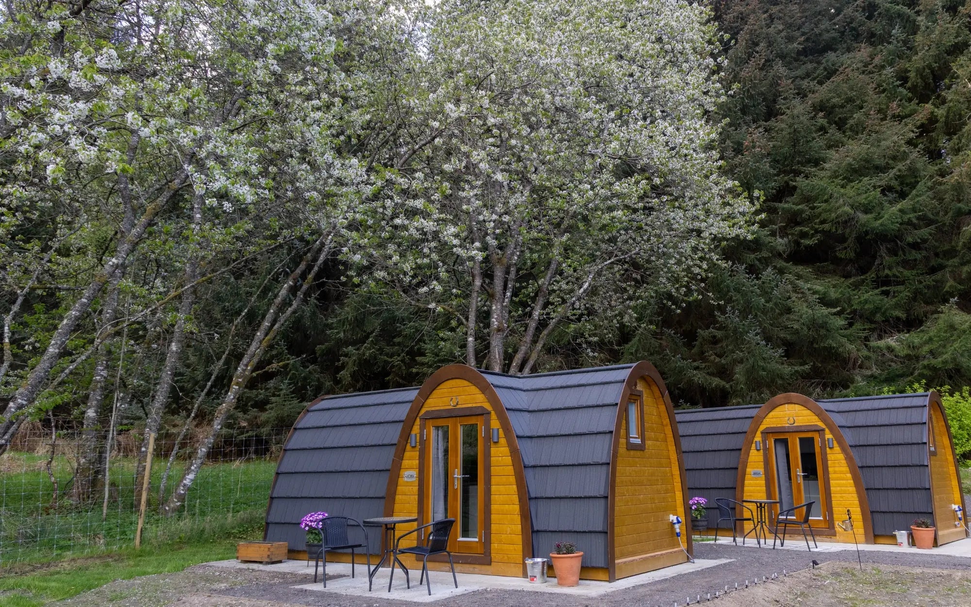Two arched cabins with yellow wood exteriors and dark gray roofs, set outdoors among flowering trees and a forest background.